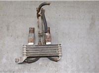  Радиатор масляный Hyundai Santa Fe 2000-2005 20276865 #1