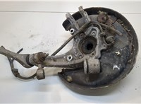  Ступица (кулак, цапфа) Audi A8 (D3) 2002-2005 20276960 #1