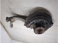 4E0407254R, 4E0407613C Ступица (кулак, цапфа) Audi A8 (D3) 2002-2010 20277211 #7