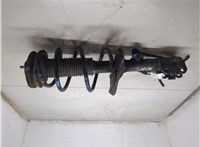 4852029505, 4813128720 Амортизатор подвески Toyota Previa (Estima) 2000-2006 20277865 #4