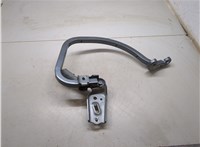  Петля крышки багажника Volkswagen Jetta 7 2018- 20278777 #1