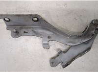  Петля капота Infiniti EX35 20279313 #2