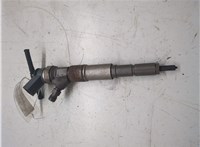 Форсунка топливная BMW 7 E65 2001-2008 20279439 #1