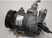  Компрессор кондиционера Skoda Octavia (A5) 2008-2013 20279545 #1