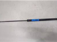  Амортизатор капота Toyota Camry V40 2006-2011 20281856 #1