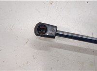  Амортизатор капота Toyota Camry V40 2006-2011 20281856 #4
