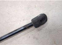  Амортизатор капота Infiniti QX56 2004-2010 20281918 #2