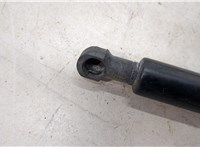  Амортизатор капота Infiniti QX56 2004-2010 20281918 #3