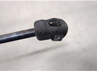  Амортизатор капота Infiniti QX56 2004-2010 20281925 #3