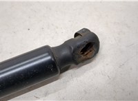  Амортизатор крышки багажника Infiniti QX56 2004-2010 20281974 #2