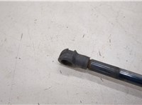  Амортизатор крышки багажника Infiniti QX56 2004-2010 20281974 #3