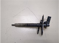 0445116030 Форсунка топливная Skoda Octavia (A5) 2008-2013 20282373 #1