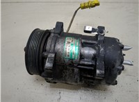  Компрессор кондиционера Peugeot 406 1999-2004 20282431 #1
