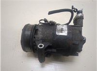  Компрессор кондиционера Opel Zafira B 2005-2012 20282975 #1