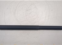  Амортизатор крышки багажника Mercedes GL X164 2006-2012 20283579 #1