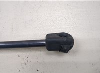  Амортизатор капота Mercedes GL X164 2006-2012 20283598 #2