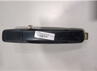 7346008013LAK Ручка двери наружная SsangYong Rexton 2007-2012 20283717 #1