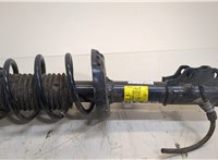 42851536, 42839710 Амортизатор подвески Buick Envista 20283744 #1