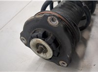 68284192AC Амортизатор подвески Jeep Compass 2017-2021 20283992 #7