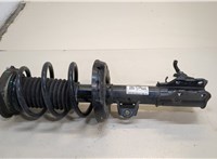 42851537, 42839710 Амортизатор подвески Buick Envista 20283996 #1