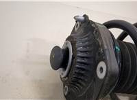 42851537, 42839710 Амортизатор подвески Buick Envista 20283996 #2