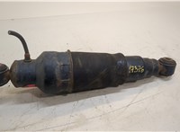  Амортизатор подвески Infiniti QX56 2004-2010 20284087 #1