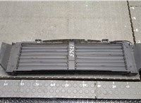 60007021 Жалюзи радиатора Buick Encore GX 2024- 20284193 #1