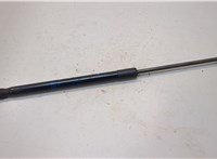 85607987 Амортизатор капота Chevrolet Traverse 2017-2021 20284383 #1