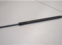 22743451, 84360923 Амортизатор крышки багажника Chevrolet Tahoe 2006-2014 20284404 #1