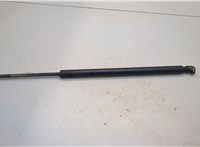 22743451, 84360923 Амортизатор крышки багажника Chevrolet Tahoe 2006-2014 20284405 #1
