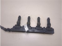  Катушка зажигания Opel Corsa D 2006-2011 20284409 #1