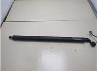 GB5378402A55AB Амортизатор крышки багажника Ford Explorer 2015-2018 20285140 #1