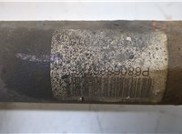  Амортизатор подвески Dodge Journey 2011- 20285323 #4