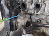  Двигатель (ДВС) Ford Ka 2009-2016 20285617 #8