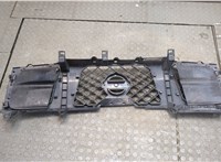  Решетка радиатора Nissan Titan 2003-2007 20285643 #2