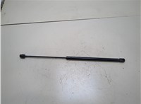 42483670 Амортизатор стекла багажника Chevrolet Trailblazer 2020-2022 20285730 #1