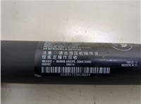  Амортизатор крышки багажника BMW X5 F15 2013-2018 20285741 #2