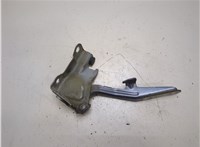  Петля капота Toyota Sequoia 2008- 20286035 #2