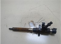  Форсунка топливная Ford Mondeo 4 2007-2015 20286491 #1