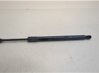  Амортизатор крышки багажника Chevrolet Bolt 2016- 20286628 #1