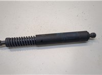  Амортизатор крышки багажника Volkswagen Touareg 2007-2010 20287513 #1
