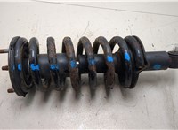 561107S626, 540107S102 Амортизатор подвески Infiniti QX56 2004-2010 20287601 #5