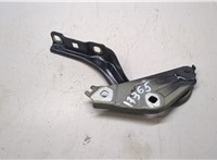 42756088 Петля капота Buick Encore GX 2024- 20287739 #1