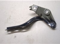 42756087 Петля капота Buick Encore GX 2024- 20287743 #1