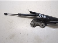  Петля капота Audi A6 (C7) 2014-2018 20287796 #2