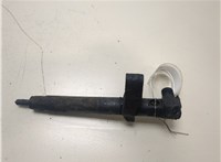  Форсунка топливная Mercedes Sprinter 2006-2014 20288800 #1