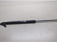 5N0827550D Амортизатор крышки багажника Volkswagen Tiguan 2011-2016 20289317 #1