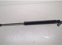 5N0827550D Амортизатор крышки багажника Volkswagen Tiguan 2011-2016 20289319 #1