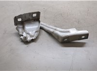 1612684780 Петля капота Citroen Jumper (Relay) 2014- 20289898 #1