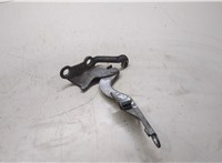  Петля капота Toyota Corolla E12 2001-2006 20290359 #3